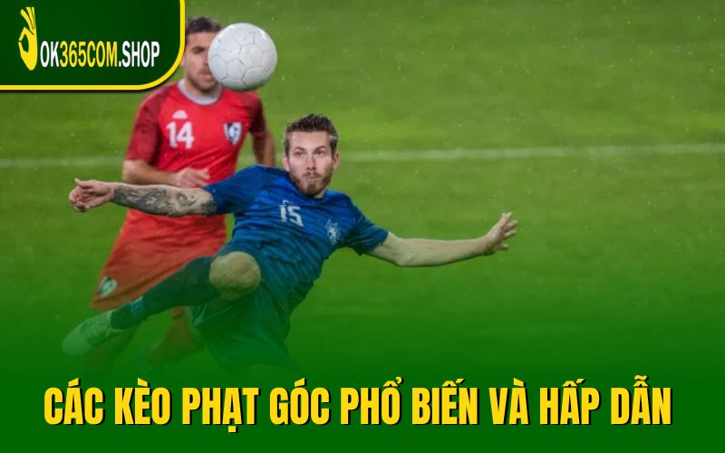 Cập nhật các kèo phạt góc phổ biến và hấp dẫn hiện nay