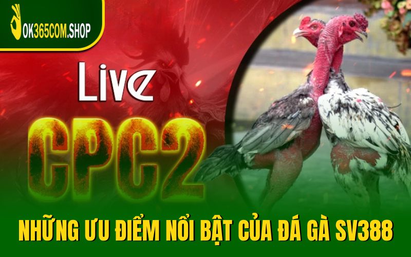 Đánh giá những ưu điểm nổi bật của Đá Gà SV388
