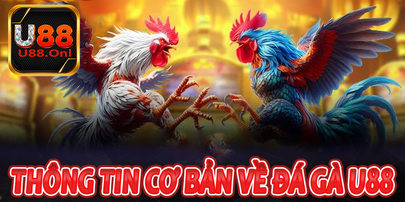 Tổng quan thông tin cơ bản về đá gà U88