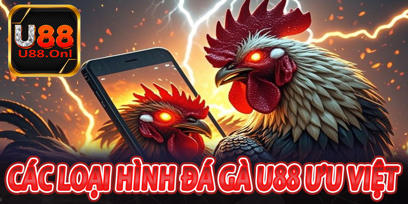 Top các loại hình đá gà u88 ưu việt