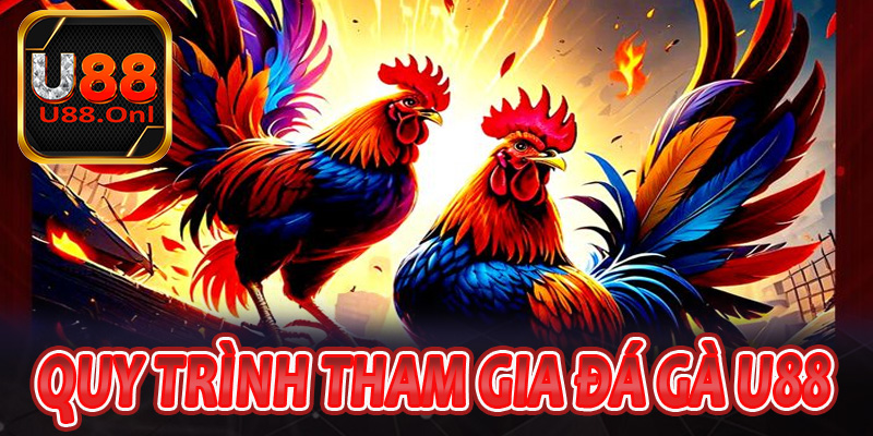 Quy trình tham gia chơi đá gà U88 chuẩn nhất